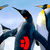 Animated sequence of penguin figures with changing colored symbols on their chests against a blue sky background.