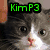 Pixelated image of a cat with green text 'KimP3' above it, a woman with curly hair and blue equal sign above her, and a yellow bird with black text 'Big Bird' below.