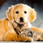 A golden retriever dog lies on a gray surface with a blue background, accompanied by pixelated text reading STOP, ANIMAL, and CRUELTY.