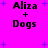 A bright pink background with four identical text blocks reading "Aliza + Dogs" in black pixelated font, surrounded by scattered blue plus signs.