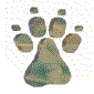 Nine paw print icons arranged in a , each with distinct color variations and some showing partial or fragmented forms