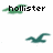Pixelated green bird icon with text overlays showing 'hollister', 'rox my', and 'sox' in different positions across frames.