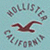 Light blue background with three identical circular logos featuring 'HOLLISTER' arched above a seagull and 'CALIFORNIA' below, all in brown text.