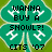 Pixelated green four-leaf clover icon with white leaf outlines and black text reading "WANNA BUY A SNOWL?! CITS '07".