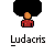 Pixelated character with large black afro, orange face, red shirt; text "Ludacris" below; multiple animation frames show motion blur and color shifts.