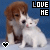 A static image of a brown and white dog sitting beside a white cat, with 'LOVE HE' text above them on a blue background.