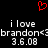 Red pixelated heart symbol above white text reading 'ilove brandon<3brandon<3 3.6.08' on black background.