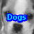 A grayscale dog face with blue 'Dogs' text overlay in top-left and orange 'Rock' text overlay in top-right, transitioning to a plain gray background.
