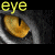 Animated contact sheet of a tiger's eye with text overlay showing sequential frame changes in the animation.