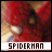 Spiderman-themed buddy icons with red and blue color scheme, each displaying 'SPIDERMAN' text below the character image