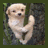 Animated sequence of a light brown puppy clinging to tree bark with one paw, displaying subtle motion changes across frames.