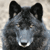 Animals icons for AIM, MSN, MySpace and Yahoo