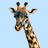 Pixelated giraffe head and neck on light blue background, next to yellow with pixelated text asking if there is anything wrong with being tall