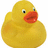 Yellow rubber duck with orange beak and black eyes on white background, next to red with yellow text reading "Rubber Ducky!" and "Your The One! You Make Bath-Time So Much Fun!"