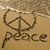 Brown peace symbol with a curved line on left, above the word 'peace' in brown lowercase letters on beige background.