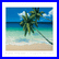 Two pixelated beach scenes with palm trees, blue sky, and turquoise water; left scene shows a leaning tree on sand, right scene has a rounded frame.