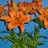 Pixelated image of orange flowers with green stems against a blue background, rendered in a low-resolution style.