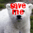 A polar bear with red text overlays in four showing sequential changes