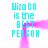Cyan pixelated text 'Eliza C8 is the BEST PERSON' appears in two mirrored positions with a pink pixelated wave between them on a white background.