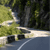 Pixelated static image showing a road with a white dashed line, bordered by green foliage and dark trees, with a light-colored structure partially visible on the left.