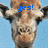 Two side-by-side giraffe heads with pixelated blue text above each, set against a light blue background.