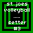 Green and black pixelated icon with 'st joes volleyball' text, four nested squares, and a central empty square in two states.