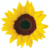 A static pixelated sunflower with bright yellow petals radiating from a dark brown center, set against a plain white background.
