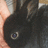 A pixelated image of a black rabbit with large ears and a visible eye, held by a hand against a blurred background.