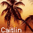 nine identical palm tree silhouettes against a gradient background, each with the name 'Caitlin' in varying colors and letter styles