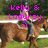Pixelated image of a person riding a brown horse in an outdoor setting with green grass and trees, overlaid with bright pink text reading 'kelly & Ladyroy :)'