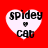 Four heart-shaped icons with white fill and black text on a red background, each displaying 'spidey' above a small heart symbol and 'cat' below it.