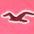 Animated sequence showing a bird silhouette in flight against changing backgrounds with color variations.