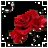 A red rose with green leaves on a black background, surrounded by white and dark square border elements.