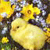 A pixelated static image shows a yellow cartoon animal with a rounded body, small dark eyes, and a brown nose, surrounded by blurred yellow and purple shapes.