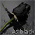 Animated contact sheet of a black rose icon with text changes across frames showing "As black", "As my", and "Heart" over a gray background.