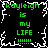 Green text on black background with white pixelated border, repeating 'kayleigh is my LIFE !!!!!' in four identical quadrants.