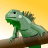 Static pixelated image of a green lizard perched on a brown branch against a yellow gradient background.