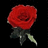 A static image with a red rose on the left and pixelated text in red on black background.