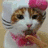 A pixelated cat with brown and white fur wears a pink bow on its head, positioned next to bold pink text reading "I love Squishy!".
