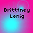 Pixelated text 'Brittney Lenig' on a pink-to-cyan gradient background with shifting light effects.