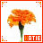 A flower icon with orange petals and green stem, framed by an orange border with pixelated corner accents.