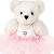Pixelated image of a light-colored teddy bear in a white dress with pink accents, positioned next to green text reading 'Original Icons .com' on a dark background.