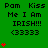 Green background displays repeated text "Pam Kiss Me I Am IRISH!!! <33333" with red heart animations. The hearts animate upward from bottom-left to top-right across three of identical text blocks