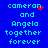 Blue background with cyan pixelated text reading "cameron and Angela together forever" in two vertical , featuring red pixel clusters near the top-right of each