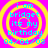 Four identical circular icons with yellow concentric rings on a bright pink background, each containing cyan text reading "i am bridget its my birthday 04/04/03".