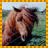 A pixelated image shows a brown horse on the left and text reading 'Horace Rock' on a blue background with yellow border.