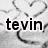 Black text 'tevin' on white background with gray pixelated heart shapes in the background.