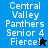 Four display 'Central Valley Panthers Senior 4 Fierce!' text with star icons; top-left has black star on blue background, bottom-left has blue star on black background, top-right and bottom-right have white text on blue background