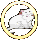 circular icons featuring a white cat with pink ears and nose, each encircled by a golden ring in various orientations
