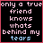 A 4-frame animated contact sheet showing pixelated text with changing symbols on a black background, each frame containing the phrase "only a true friend knows whats behind my tears" in pink and blue pixels.